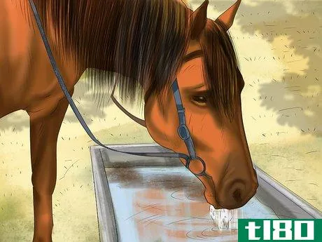 Image titled Make a Salt Lick for Horses Step 4