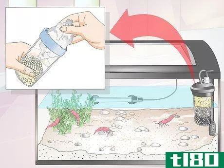 Image titled Make a Shrimp Aquarium Step 15
