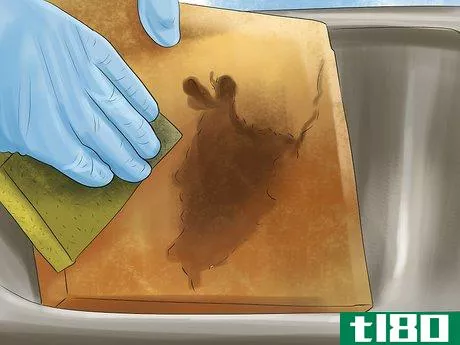Image titled Make a Salt Lick for Horses Step 12
