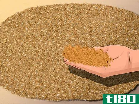 Image titled Malt Barley Step 15