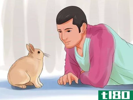 Image titled Play With Your Rabbit Step 5