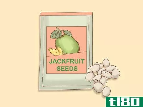 Image titled Plant Jackfruit Step 1