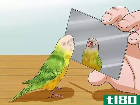 Image titled Play With Your Budgie Step 7