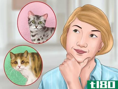 Image titled Pick a Healthy Adult Cat Step 4