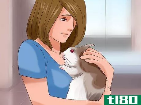 Image titled Play With Your Rabbit Step 1