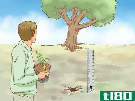 Image titled Plant Jackfruit Step 9