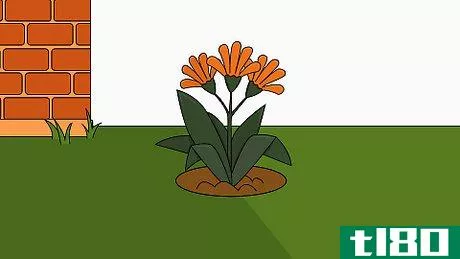 Image titled Plant Bush Lily Step 22