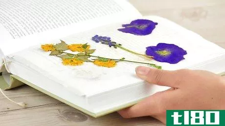 Image titled Preserve Flowers in a Book Step 10