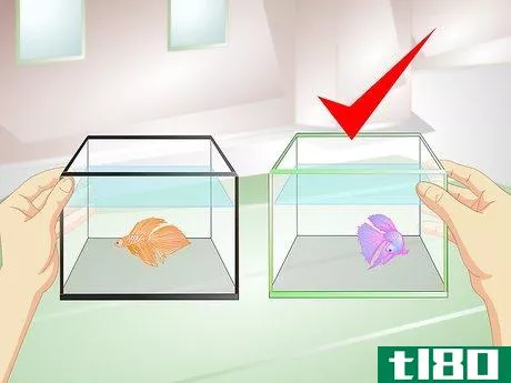 Image titled Provide a Protective Breeding Environment for Betta Fish Step 5