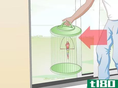 Image titled Protect Pet Birds when Spraying Your House for Fleas Step 3