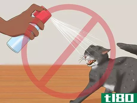 Image titled Protect Your Pets from Summertime Pests Step 9