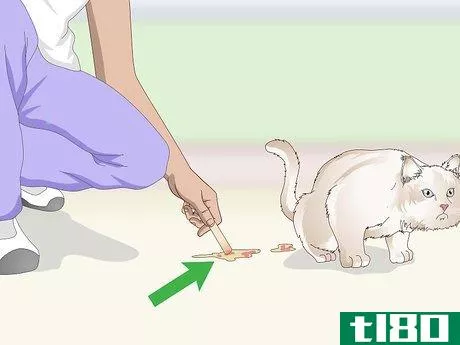 Image titled Prevent Stones in Cats Step 8