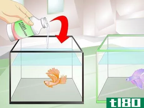 Image titled Provide a Protective Breeding Environment for Betta Fish Step 7