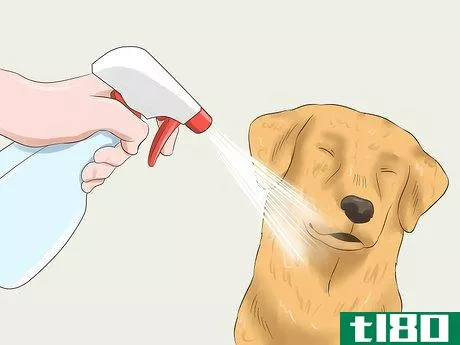 Image titled Protect Your Pets from Summertime Pests Step 31