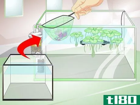 Image titled Provide a Protective Breeding Environment for Betta Fish Step 9