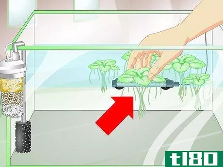 Image titled Provide a Protective Breeding Environment for Betta Fish Step 4