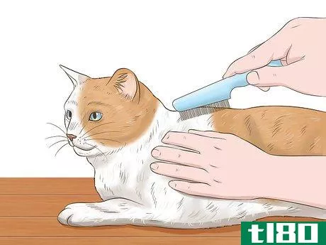 Image titled Protect Your Pets from Summertime Pests Step 23