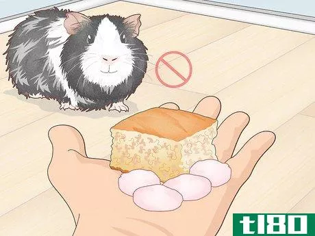 Image titled Prevent Your Guinea Pig from Becoming Sick Step 7