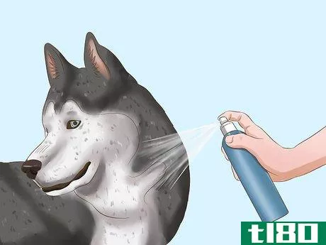 Image titled Protect Your Pets from Summertime Pests Step 15