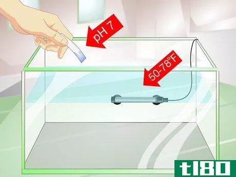 Image titled Provide a Protective Breeding Environment for Betta Fish Step 2