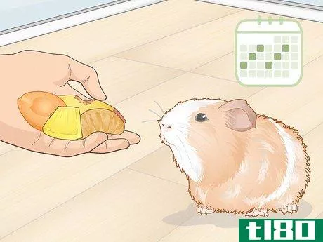 Image titled Prevent Your Guinea Pig from Becoming Sick Step 6