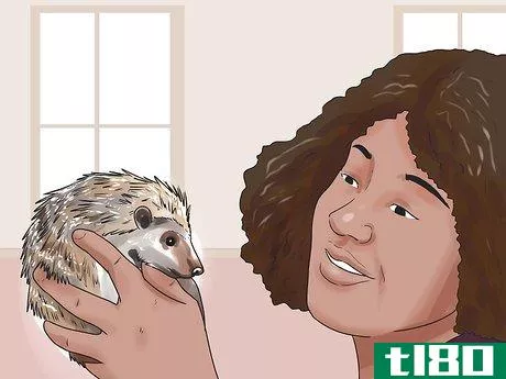 Image titled React when Your Hedgehog Bites You Step 10