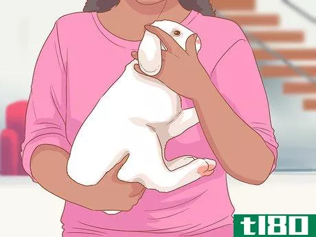 Image titled Raise a Lop Eared Rabbit As a Pet Step 17