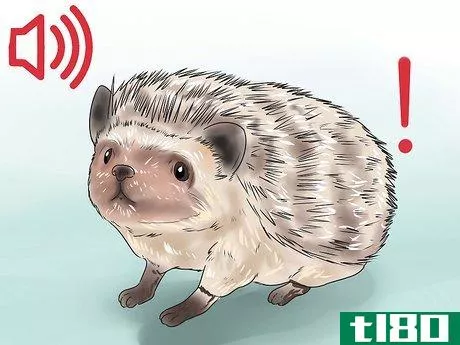 Image titled React when Your Hedgehog Bites You Step 8