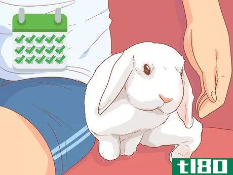 Image titled Raise a Lop Eared Rabbit As a Pet Step 16