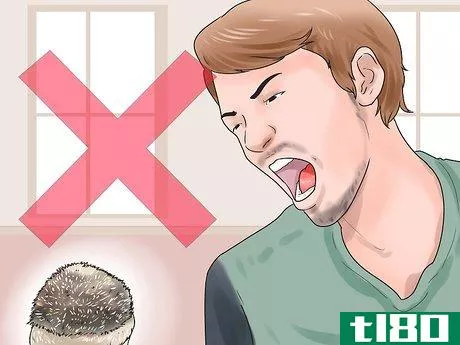 Image titled React when Your Hedgehog Bites You Step 3