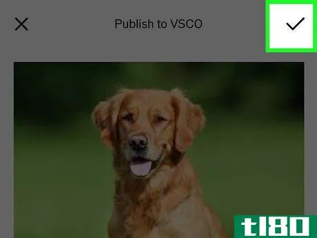 Image titled Publish on VSCO on iPhone or iPad Step 6
