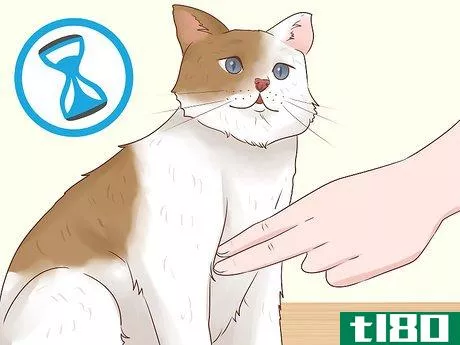 Image titled Read a Cat's Vital Signs Step 9