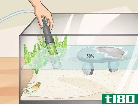Image titled Reduce Chlorine in an Aquarium Step 5
