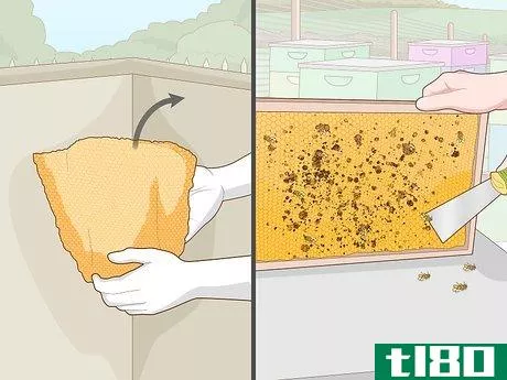 Image titled Remove Bees Step 12