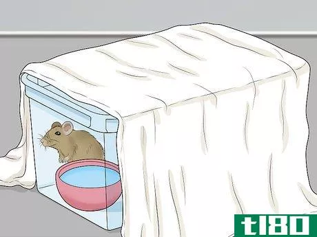 Image titled Remove a Live Mouse from a Sticky Trap Step 7