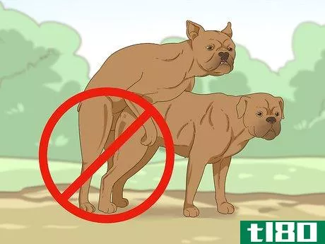 Image titled Reduce the Risk of Breeding Cleft Palate Puppies Step 7