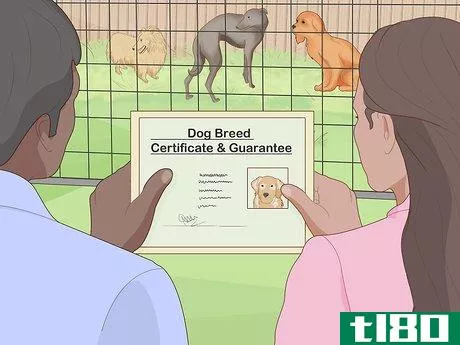 Image titled Report an Unethical Dog Breeder Step 10