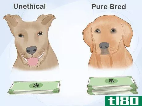 Image titled Report an Unethical Dog Breeder Step 12