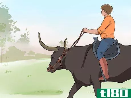 Image titled Ride a Steer Step 5