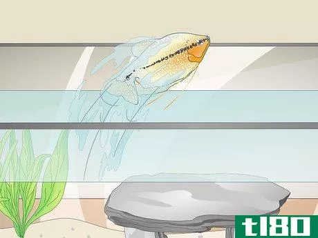 Image titled Reduce Chlorine in an Aquarium Step 13