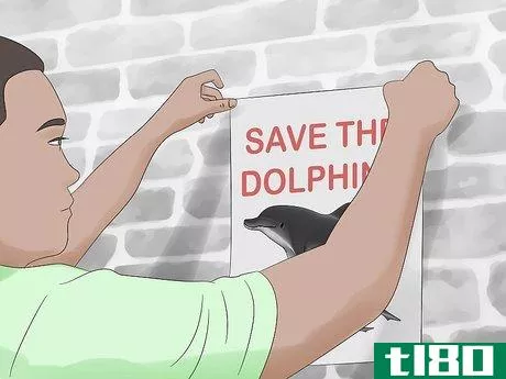Image titled Save Dolphins Step 11