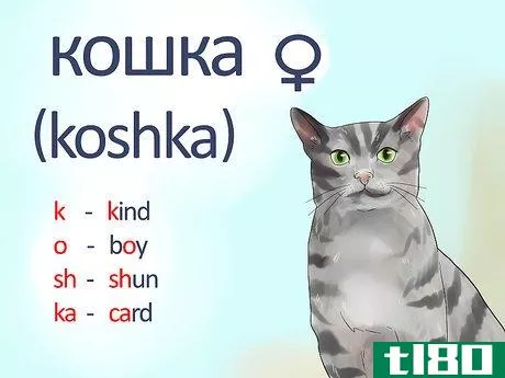 Image titled Say Cat in Russian Step 1