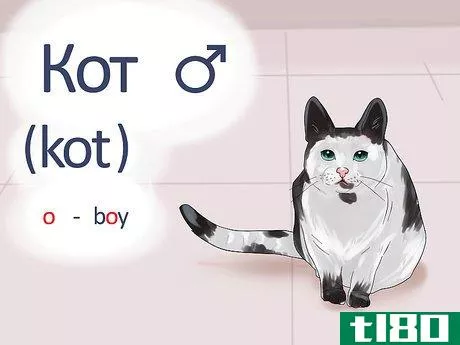 Image titled Say Cat in Russian Step 2