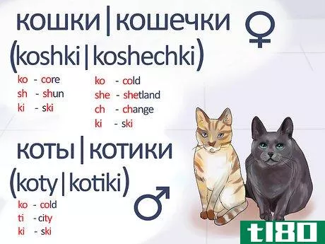 Image titled Say Cat in Russian Step 4
