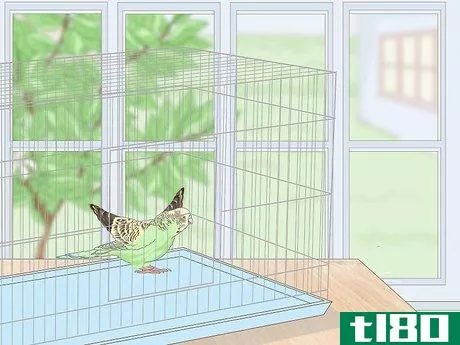 Image titled Set Up a Bird Cage Step 8