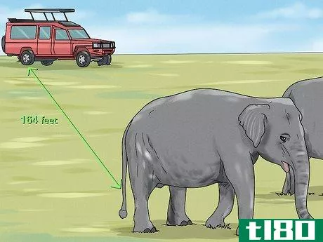 Image titled See Elephants in Sri Lanka Step 9
