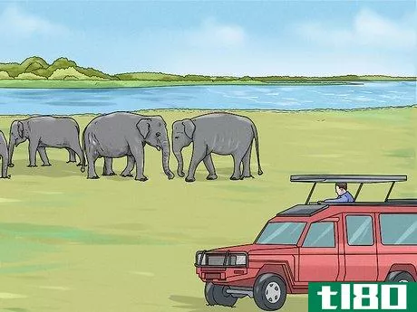 Image titled See Elephants in Sri Lanka Step 8