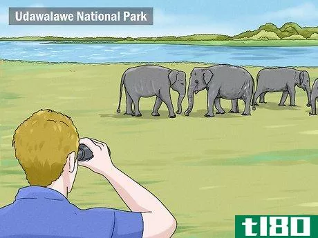 Image titled See Elephants in Sri Lanka Step 3
