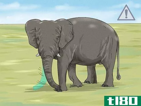 Image titled See Elephants in Sri Lanka Step 10