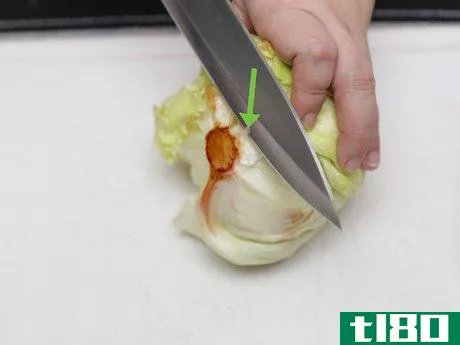 Image titled Shred Lettuce Step 2
